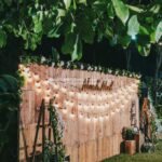1688824078_Engagement-Party-Decorations.jpg